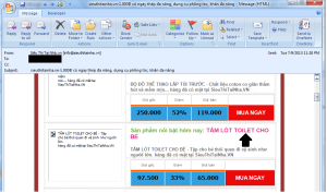 Vietnamese Spam (Toilet)