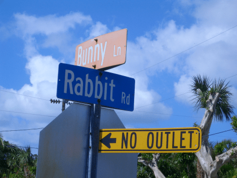 Altschuler Bunny &amp; Rabbit