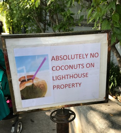 Coconuts 2.jpg