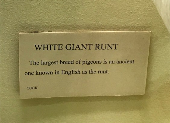 Giant White Runt sign