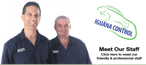 screenshot 2019-01-05 12.07.18